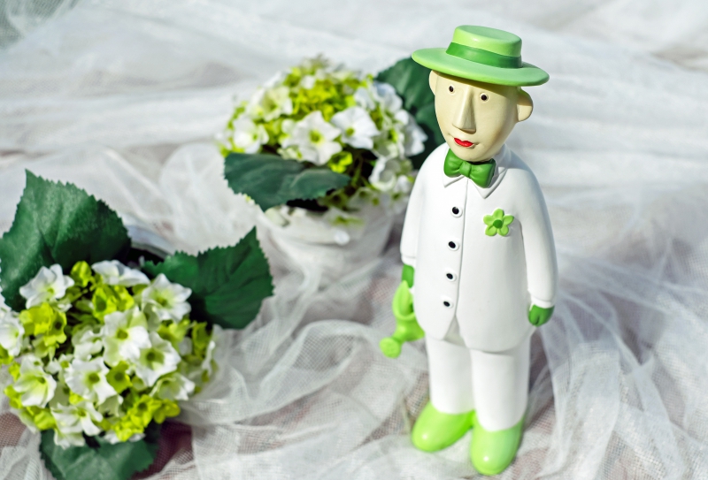 boutique-BLAUSASC-min_man-person-flower-green-toy-fig-546529-pxhere.com